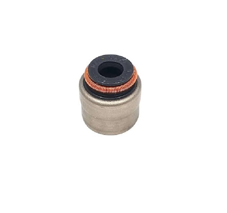 Reten Valvulas Escape EA211