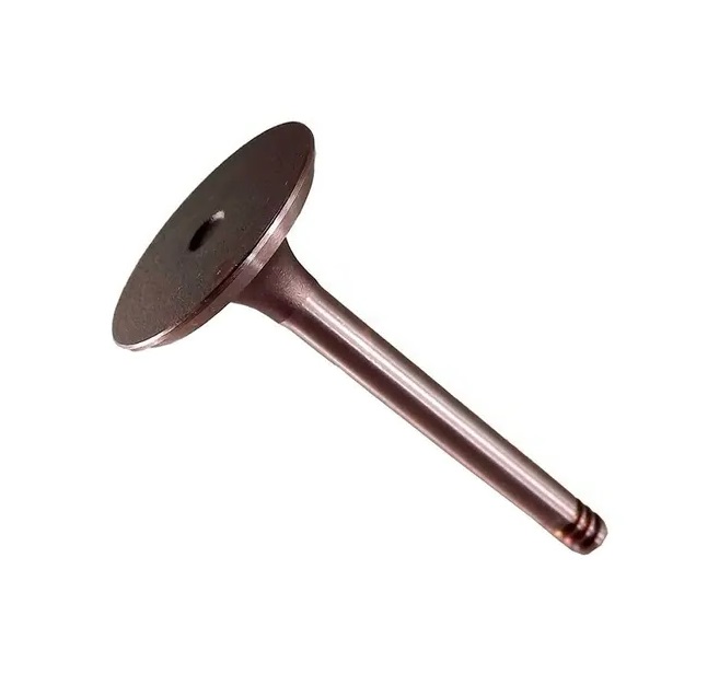 Valvula Esc. Gol / Golf / Bora 1.6 / 2.0 / 8v 1996-2010